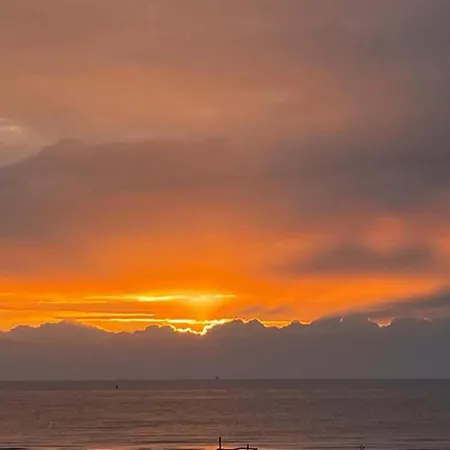 In Belgium Near The Coast 오스텐드