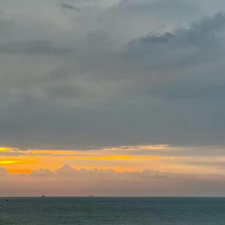 In Belgium Near The Coast Appartement