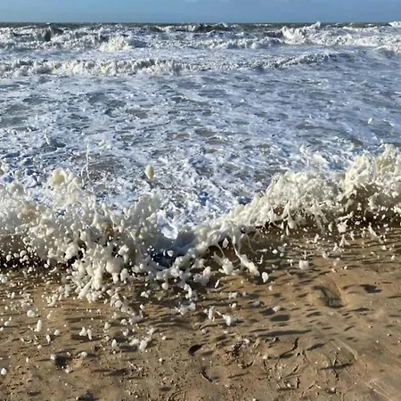 아파트 In Belgium Near The Coast