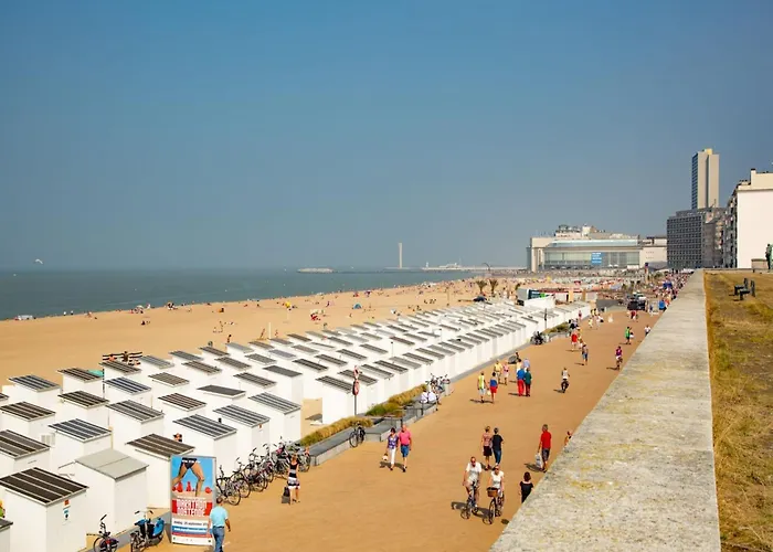 In Belgium Near The Coast