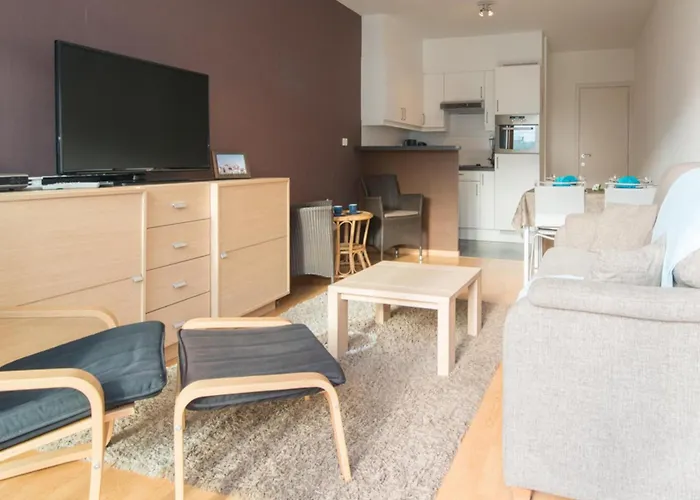 Apartment In Belgium Near The Coast