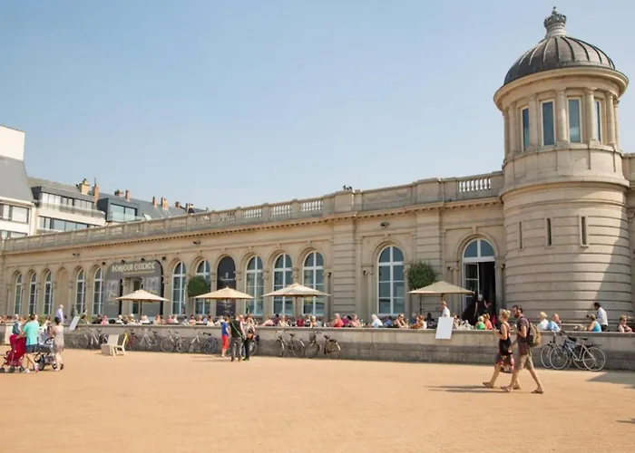 In Belgium Near The Coast Apartment *