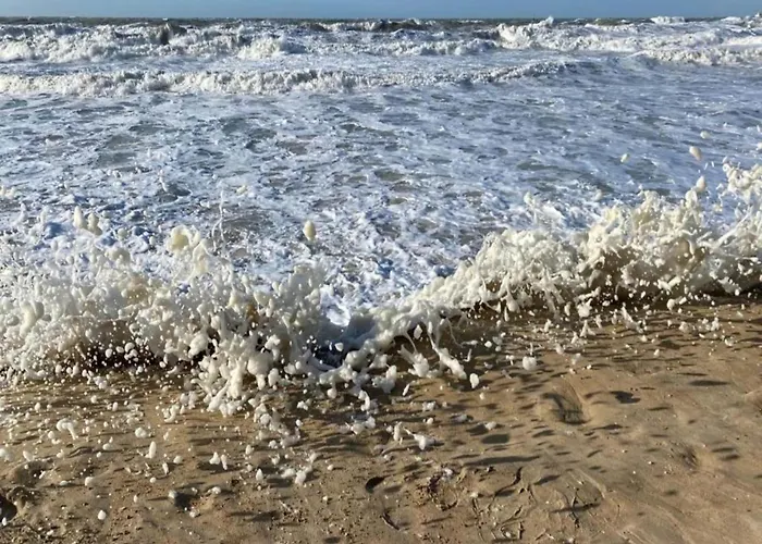 Apartment In Belgium Near The Coast
