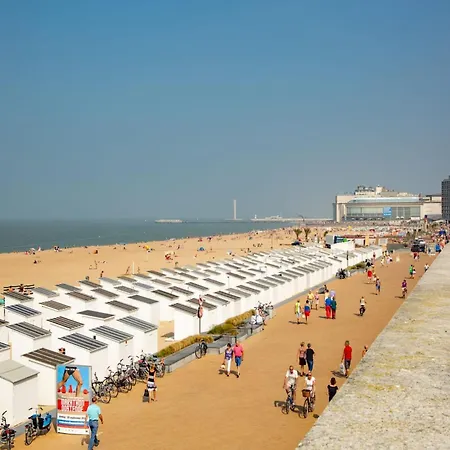 In Belgium Near The Coast