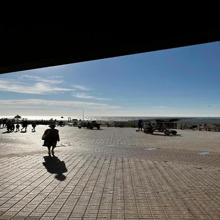 In Belgium Near The Coast * オステンド